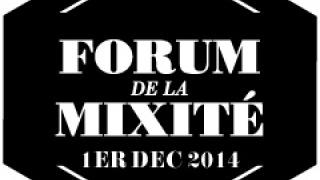 LANCEMENT DU FORUM DE LA MIXITE 2014 !